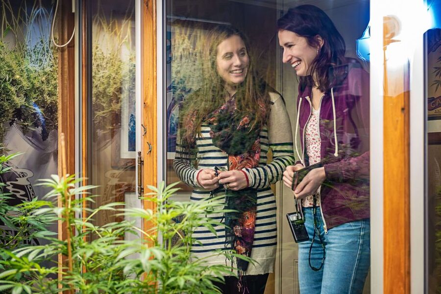 Amsterdam: Hash, Marihuana, and Hemp Museum Entry Ticket - Ticket value: you’re buying a museum, plus an included audioguide
