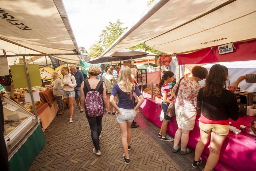 Amsterdam: Hidden Gems & Highlights Guided Bike Tour - Price and Value: What $44 Buys You in Amsterdam Time