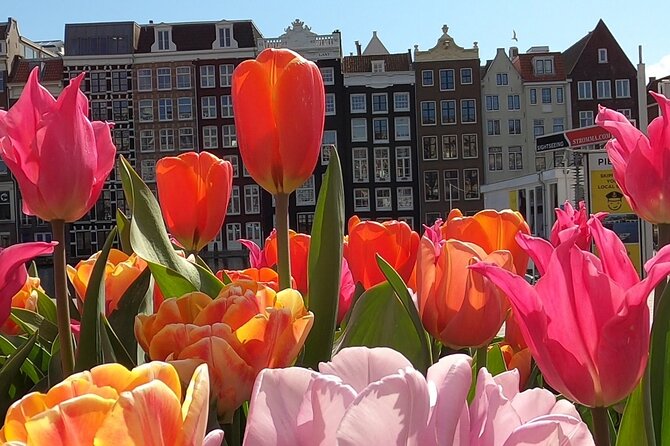 Amsterdam Highlights and Hidden Gems Walking Tour with Fun Guide - Jerry the guide: why the tour feels personal, not scripted