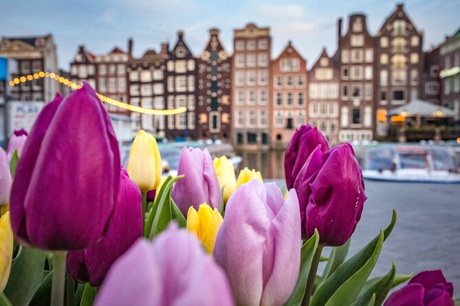 Amsterdam Highlights Walking Tour - Key points that make this tour worth your time