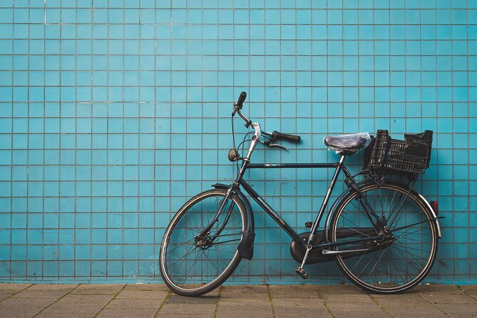 Amsterdam History Walking Tour - How This Fits Your Trip: Who Will Enjoy It Most