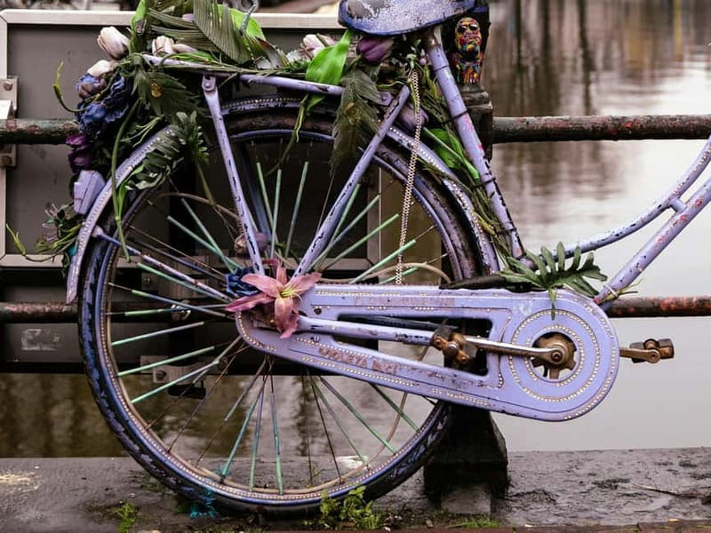Amsterdam: Iconic Canals & Historic Sights Walking Tour - Canal streets and secret courtyards: how to see Amsterdam like a local
