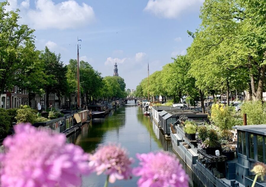 Amsterdam: Jordaan District Tour with a German guide - Anne Frank Monument to the Anne Frank hiding place area: walking with care