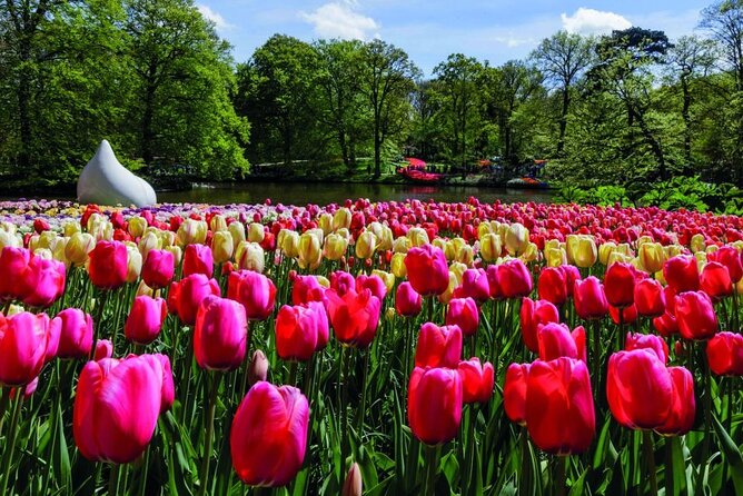 Amsterdam: Keukenhof Entry & Shuttle Bus with Flexible Return - Entering Keukenhof at your pace, not on a tight leash