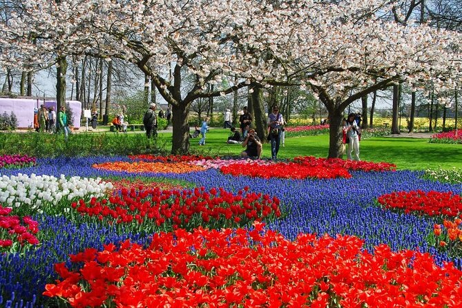 Amsterdam: Keukenhof Entry & Shuttle Bus with Flexible Return - How the return works: flexible buses, 30-minute rhythm, and the one thing to watch