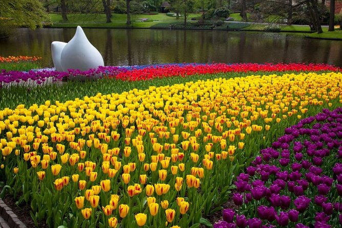 Amsterdam: Keukenhof Entry & Shuttle Bus with Flexible Return - Price and value: is $42.33 really a good deal?