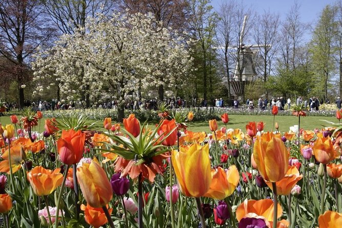 Amsterdam: Keukenhof Entry & Shuttle Bus with Flexible Return - The quick ferry connection from Central Station (and why it matters)
