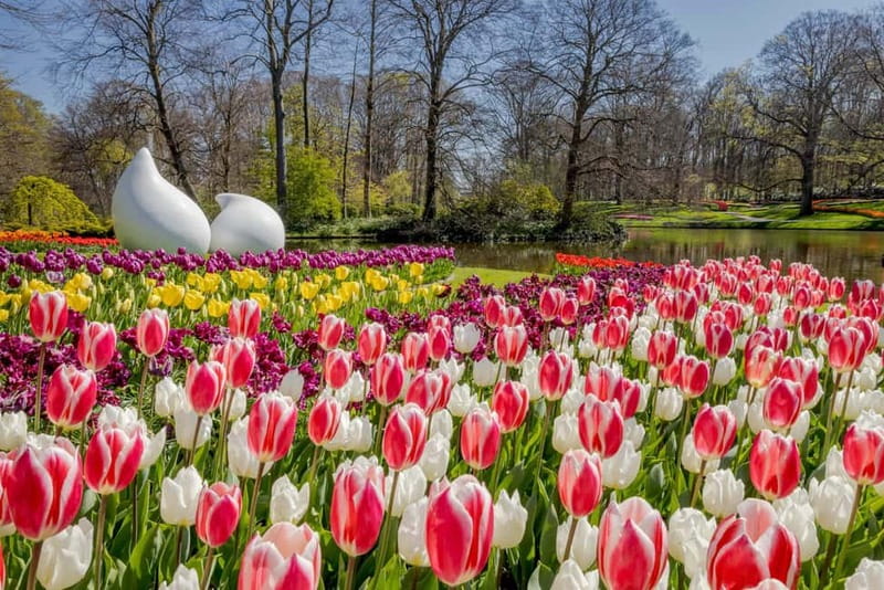 Amsterdam: Keukenhof Entry & Shuttlebus with Flexible Return - Keukenhof Gardens at Your Own Pace (No Rigid Schedule Inside)