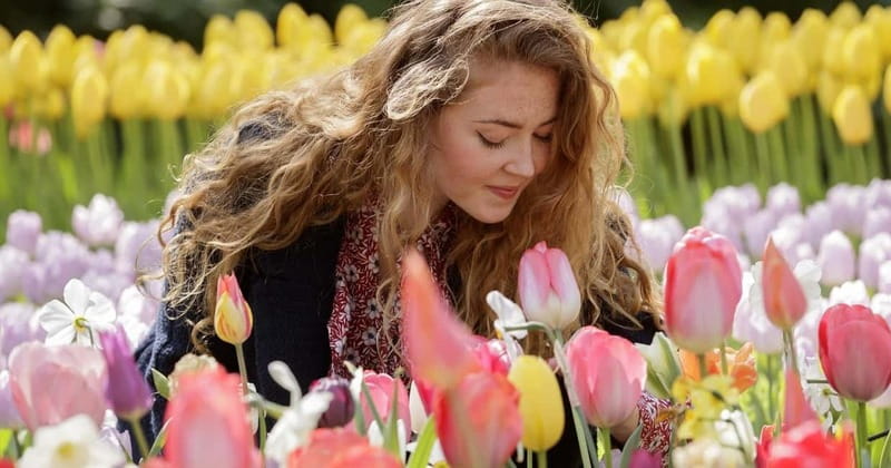 Amsterdam: Keukenhof Entry & Shuttlebus with Flexible Return - How Long Should You Stay, and What Late Season Does to the Flowers