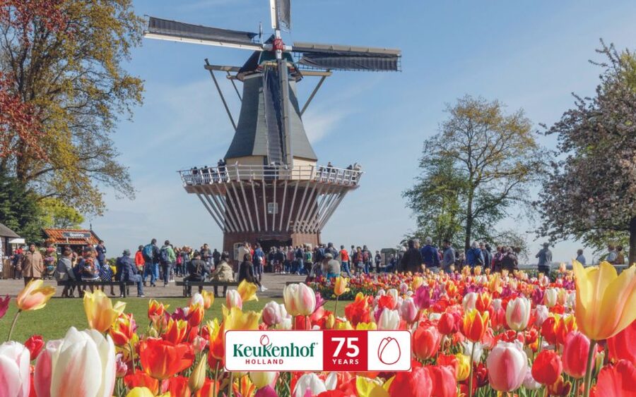 Amsterdam: Keukenhof Entry & Shuttlebus with Flexible Return - What Can Go Wrong (and How to Prevent It)