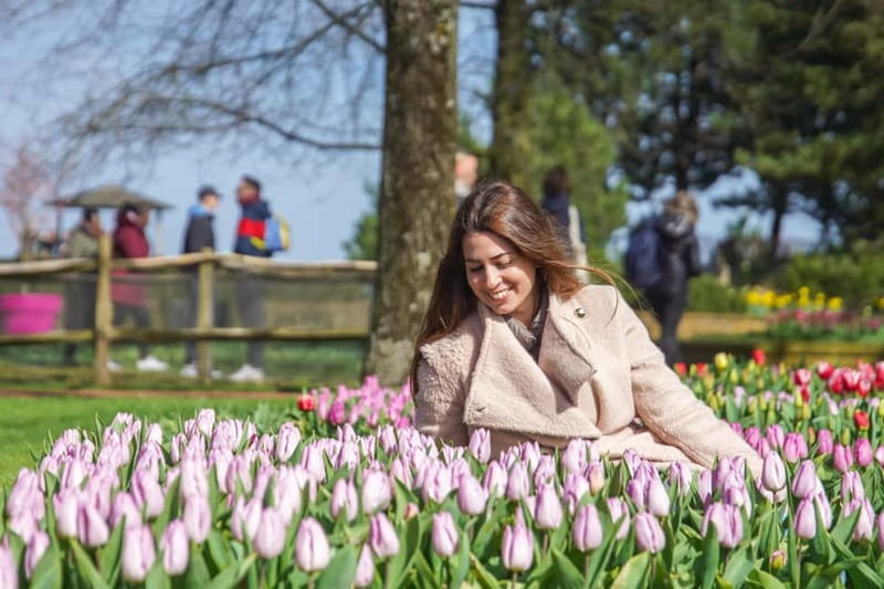 Amsterdam: Keukenhof Entry & Shuttlebus with Flexible Return - Who This Works Best For (and Who Might Want a Different Plan)