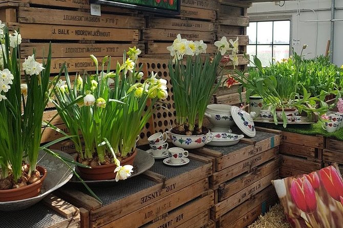 Amsterdam : Keukenhof FlowerFarm Privatetour Skip-The-Line ticket - What is included, and what you should budget for