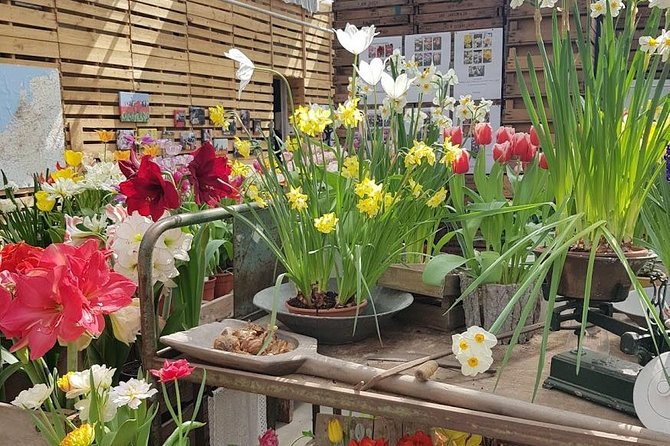 Amsterdam : Keukenhof FlowerFarm Privatetour Skip-The-Line ticket - Price and value: is $463.74 per person worth it?