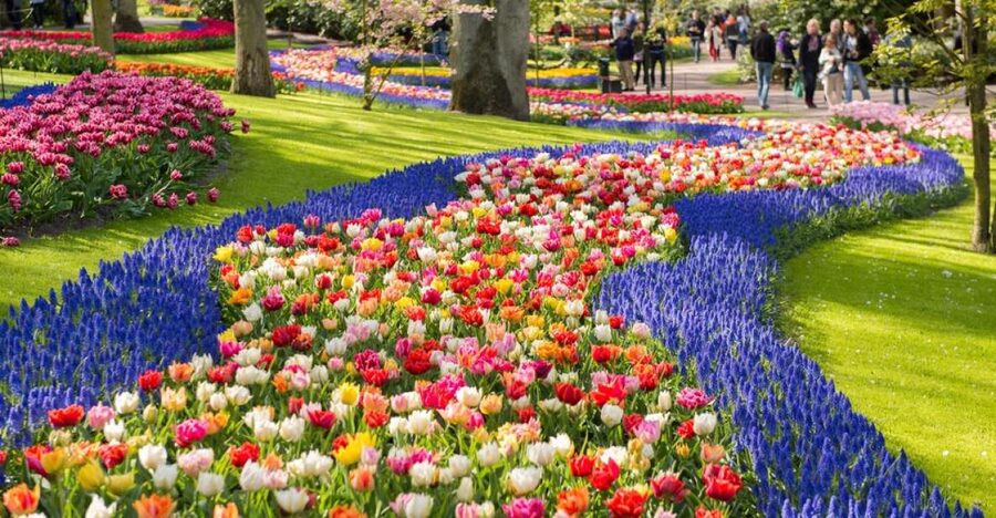 Amsterdam: Keukenhof Gardens Guided Tour Spanish and English - Buying bulbs and seeds, and how to do it without chaos