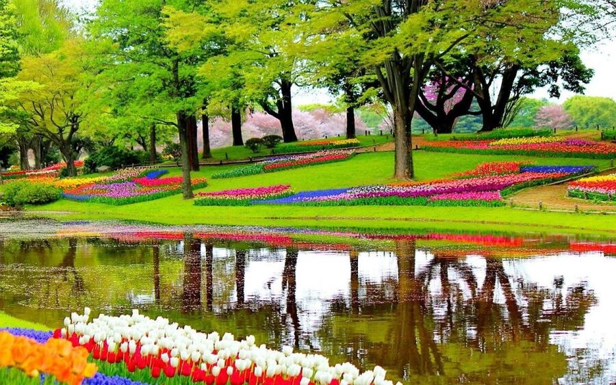 Amsterdam: Keukenhof Gardens Private Sightseeing Tour - Arriving at Keukenhof: how to make a short visit work