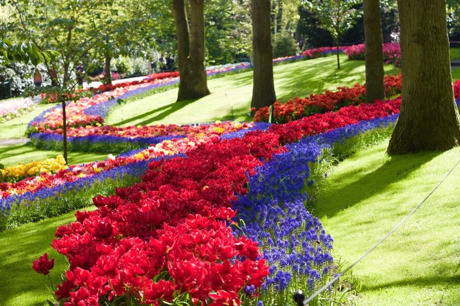Amsterdam: Keukenhof Ticket with Shuttle Bus + Canal Cruise - The canal cruise: flexible timing, heated boats, and the Magere Brug route