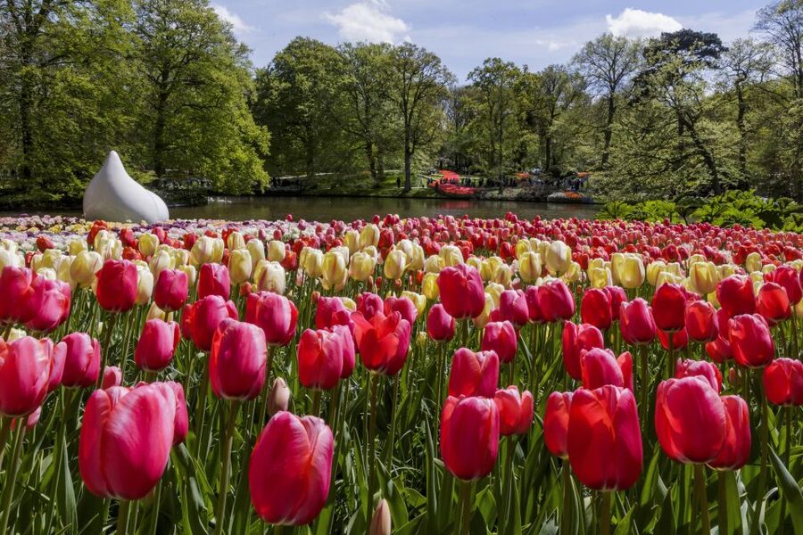Amsterdam: Keukenhof Ticket with Shuttle Bus + Canal Cruise - What can trip you up: crowds and expectation checks
