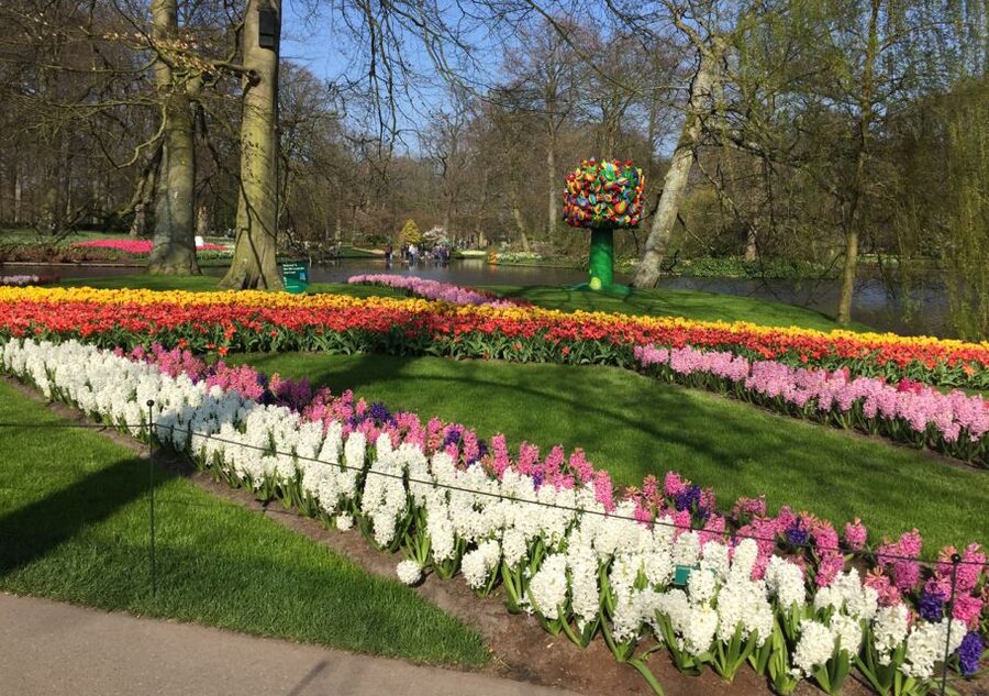 Amsterdam: Keukenhof Tulip Garden and Giethoorn Experience - Keukenhof in 3.5 Hours: Gardens, Scent Stops, and Photo Time