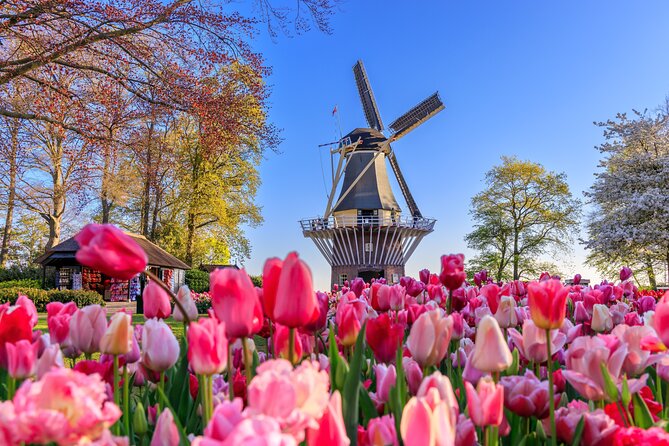 Amsterdam: Keukenhof, Zaanse Schans & Volendam Tour - Quick hits before you go