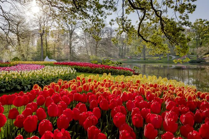 Amsterdam: Keukenhof, Zaanse Schans & Volendam Tour - Should you book this Amsterdam Keukenhof, Zaanse Schans, and Volendam tour?
