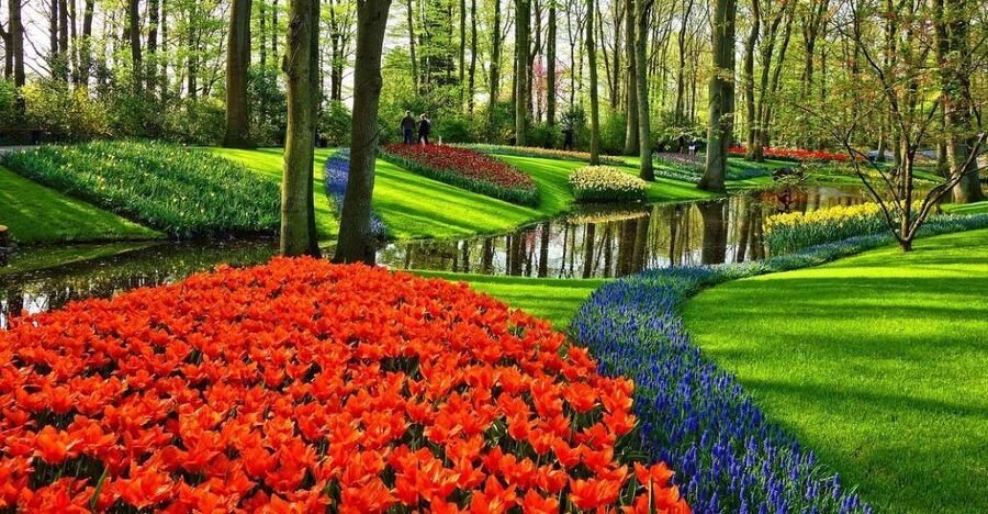 Amsterdam: Keukenhof & Zaanse Schans Windmills Private Tour - Naming, picking, and tulip fun for all ages