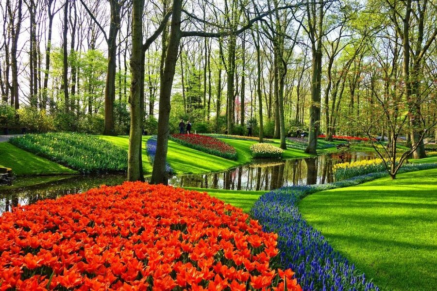 Amsterdam: Keukenhof & Zaanse Schans Windmills Private Tour - What to expect from the host, and where you will explore on your own