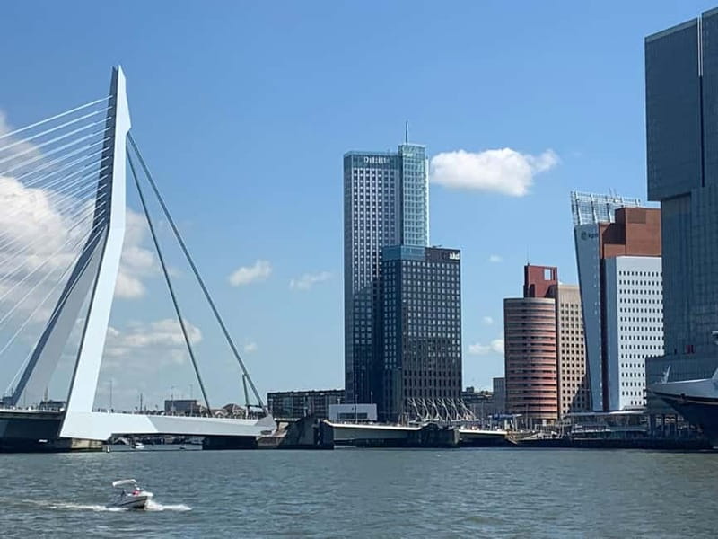 Amsterdam: Kinderdijk, Euromast, Delft and Den Haag Day Tour - Comfort, guide quality, and why the small group matters