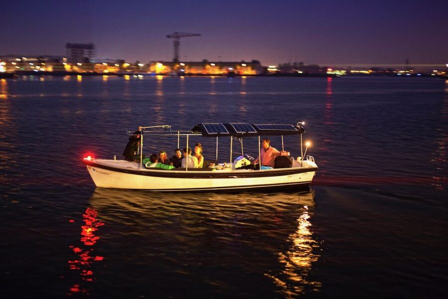 Amsterdam Light Festival Boat Cruise - The Guide Matters: English Commentary and the Papi Factor
