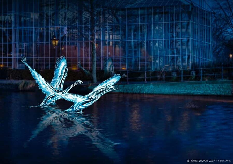 Amsterdam: Light Festival Boat+Unlimit.Drinks & Snack Option - Key highlights to know before you go