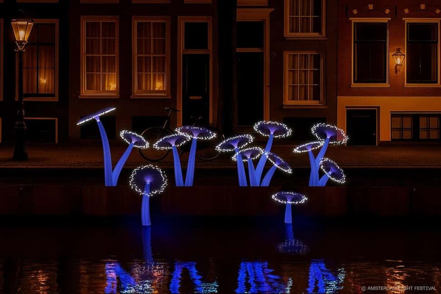 Amsterdam: Light Festival Boat+Unlimit.Drinks & Snack Option - Price and value of the $35, 75-minute experience