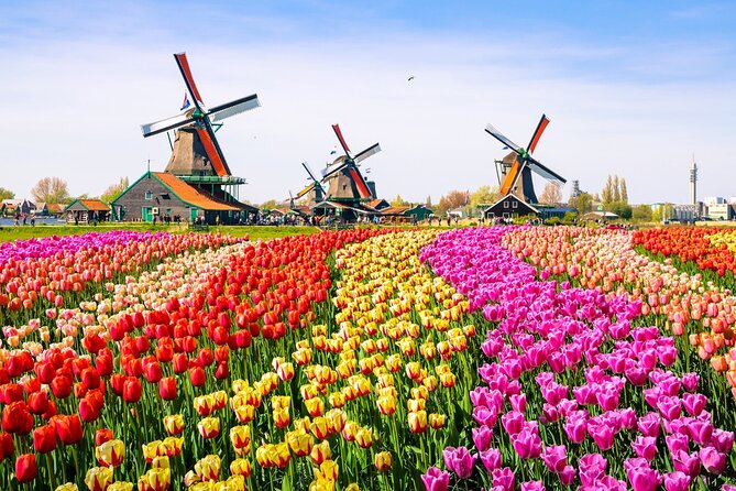 Amsterdam Pass: 45+ Things To Do - Includes Rijksmuseum - Beyond museums: castles, maritime, and the more theatrical side of Amsterdam