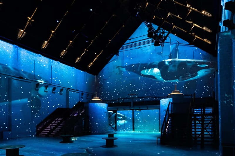 Amsterdam: Prehistoric Planet Immersive Experience Ticket - Key things to know before you go