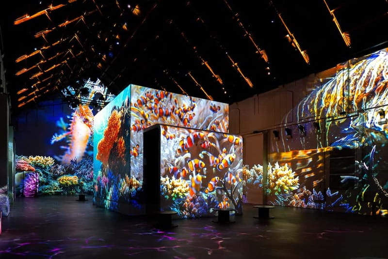 Amsterdam: Prehistoric Planet Immersive Experience Ticket - The 50-minute format: what happens from start to finish