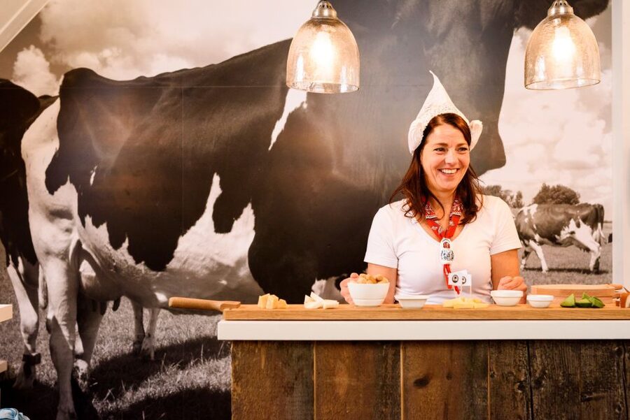 Amsterdam: Premium Henri Willig Cheese Tasting Experience - Key Things I’d Put at the Top of Your List