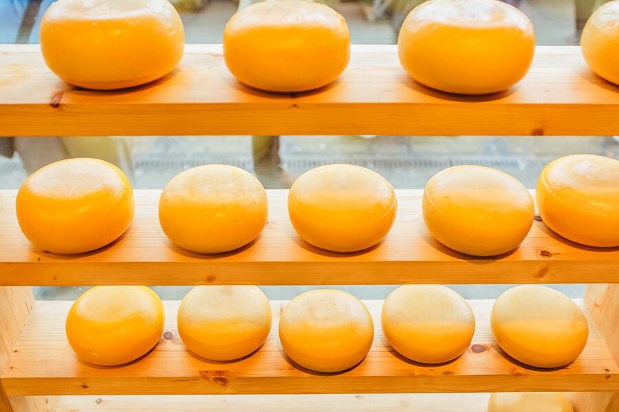 Amsterdam: Premium Henri Willig Cheese Tasting Experience - Booking Smart: Timing, Pace, and What to Bring