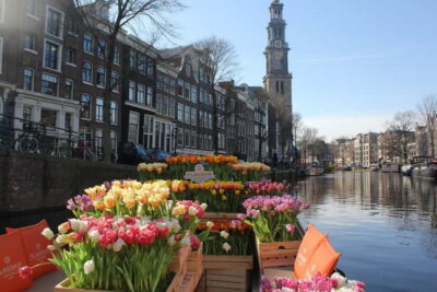 Premium Tulip Boat Canal Tour