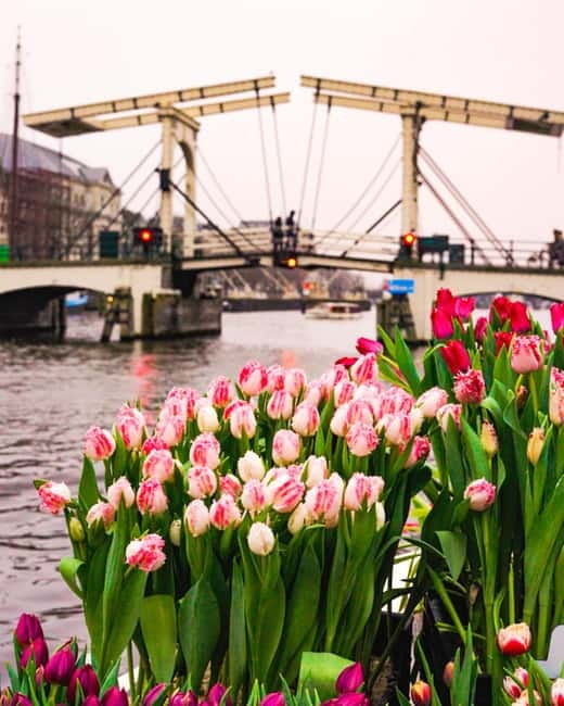 Amsterdam: Premium Tulip Boat Canal Tour - The bar, the guide, and the humor factor that makes it feel less like a lecture