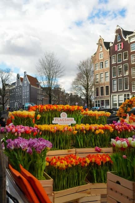 Amsterdam: Premium Tulip Boat Canal Tour - Rain plans, covered boats, and what changes when visibility drops