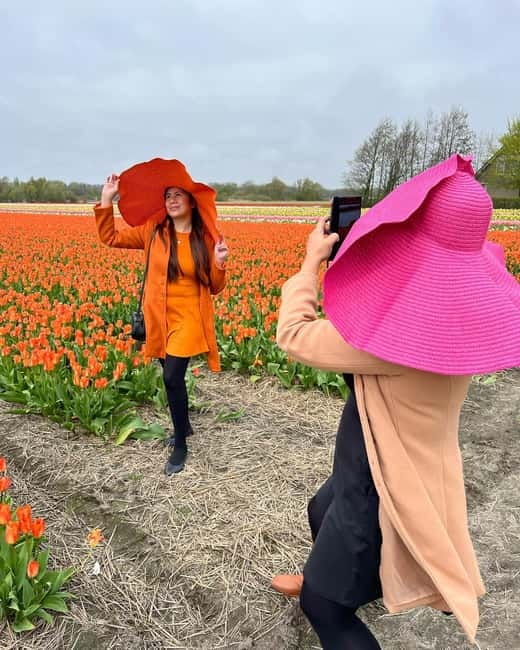 Amsterdam: Private Keukenhof and Free Tulip Tour - Private Chauffeur to Keukenhof, the Real Reason It Feels Easier