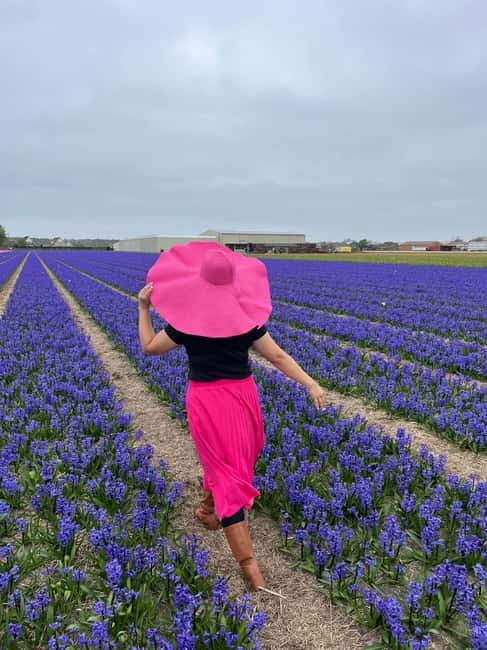 Amsterdam: Private Keukenhof and Free Tulip Tour - Customization That You Should Use (Not Just Admire)