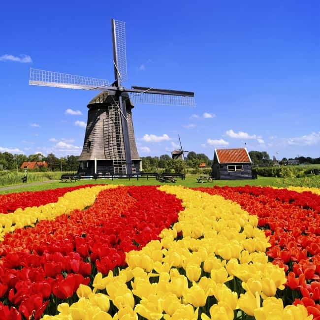 Amsterdam: Private Keukenhof and Free Tulip Tour - Where You Get Picked Up, and How That Sets the Tone