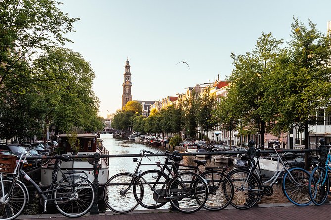Amsterdam Private Tour: Highlights & Hidden Gems by Bike or Foot - Flower Market stalls and the art of seeing colors up close