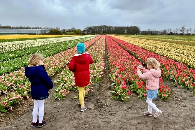Amsterdam Private Tour to Keukenhof, Tulip Fields and Windmills - Why This Private Holland Day Trip Works So Well