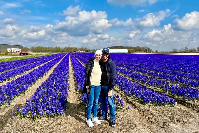 Amsterdam Private Tour to Keukenhof, Tulip Fields and Windmills - Keukenhof at the Right Moment, and How to Plan for Tickets