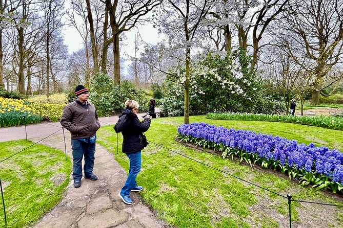 Amsterdam Private Tour to Keukenhof, Tulip Fields and Windmills - Transportation and Pickup: The Part That Saves Your Energy