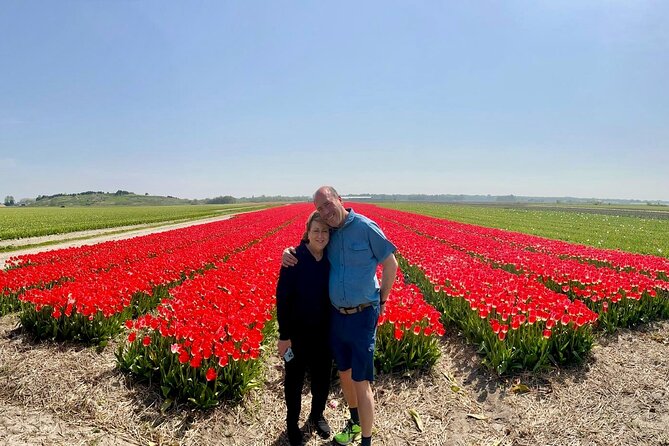 Amsterdam Private Tour to Keukenhof, Tulip Fields and Windmills - The Real Value: What You Get for the Price