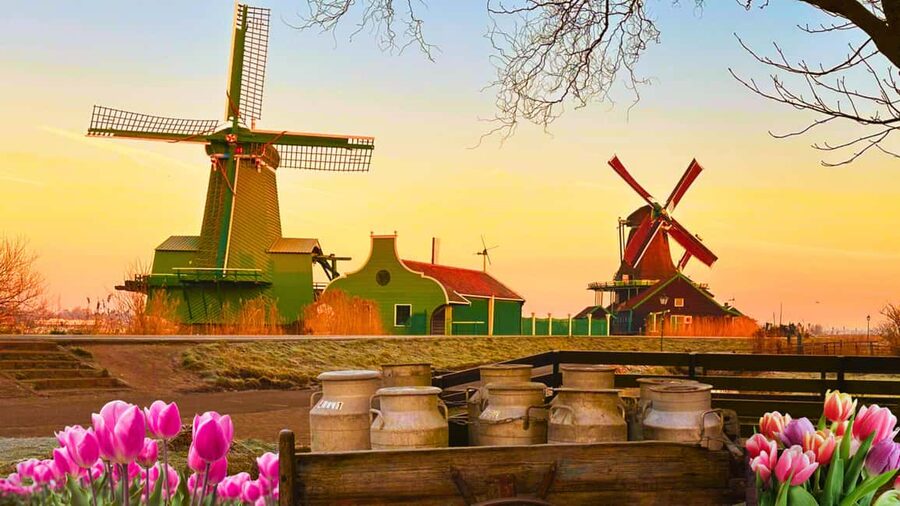 Amsterdam : Private Tour Zaanse Schans - Key Points Before You Go