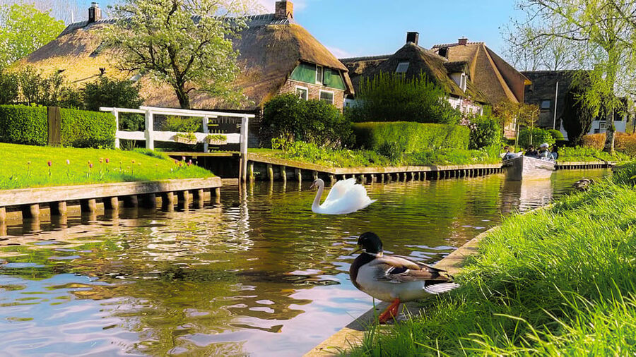 Amsterdam : Private Tour Zaanse Schans - What the Private Format Really Changes
