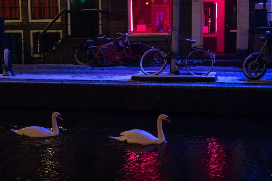 Amsterdam: Red Light District and Coffeeshop Culture Tour - Starting Strong, With Dutch History and Old Amsterdam Landmarks