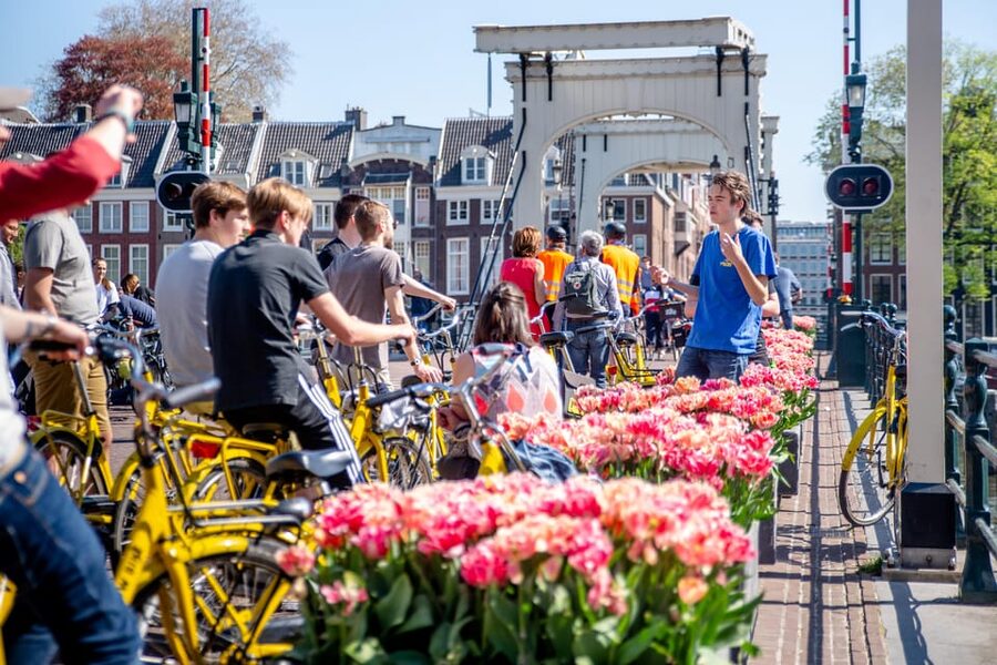 Amsterdam: Relaxed City Highlights Guided Bike Tour - Museumplein, P.C. Hooftstraat, and the Skinny Love Bridge finish